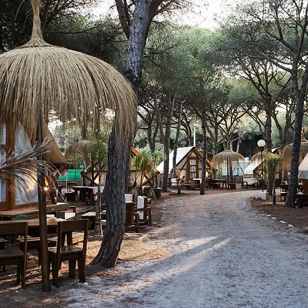 Camping Taiga Conil Conil De La Frontera