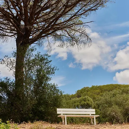 Taiga Conil Camping Conil De La Frontera