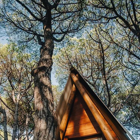 Campsite Taiga Conil Conil De La Frontera